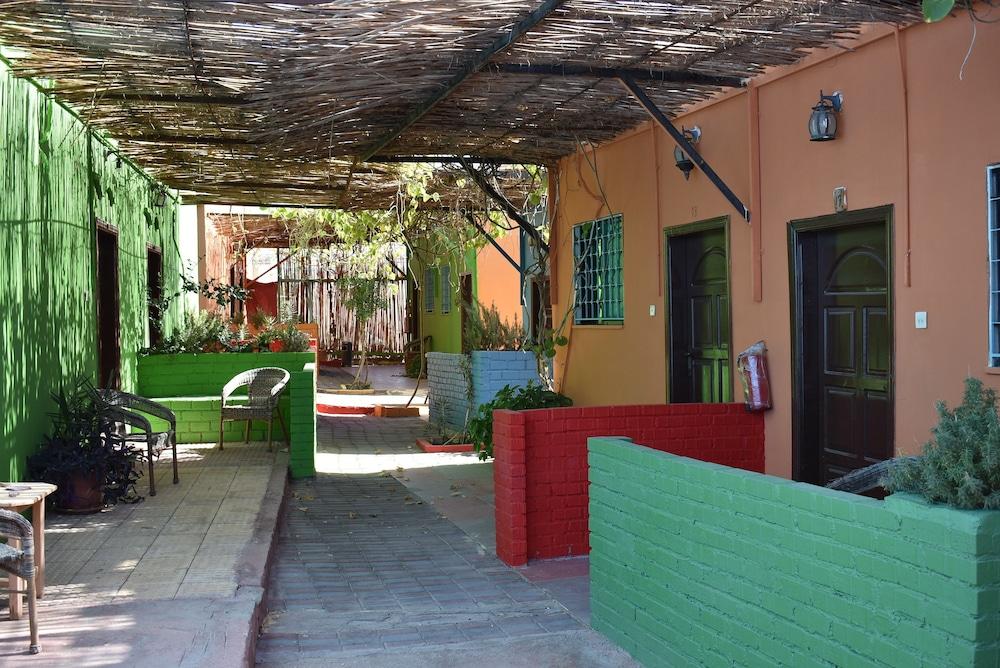Pensiune Bedouin Garden Village, Dive
