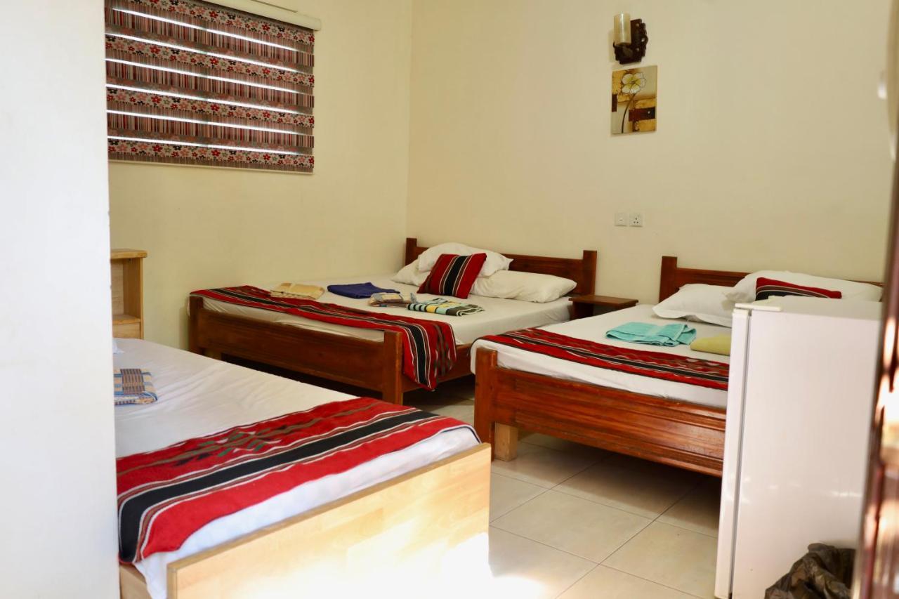 Pensiune Bedouin Garden Village, Dive Aqaba