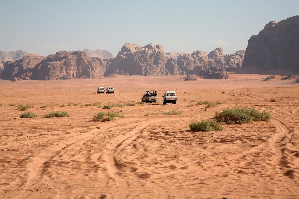 Bedouin Garden Village, Dive Aqaba