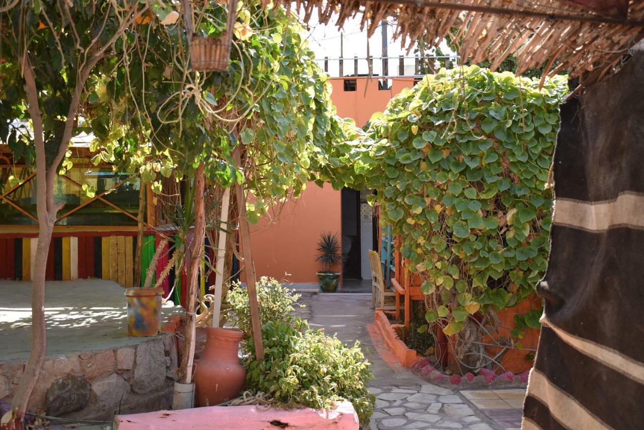 Pensiune Bedouin Garden Village, Dive Aqaba