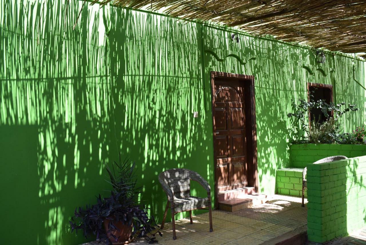 Guest house Bedouin Garden Village, Dive