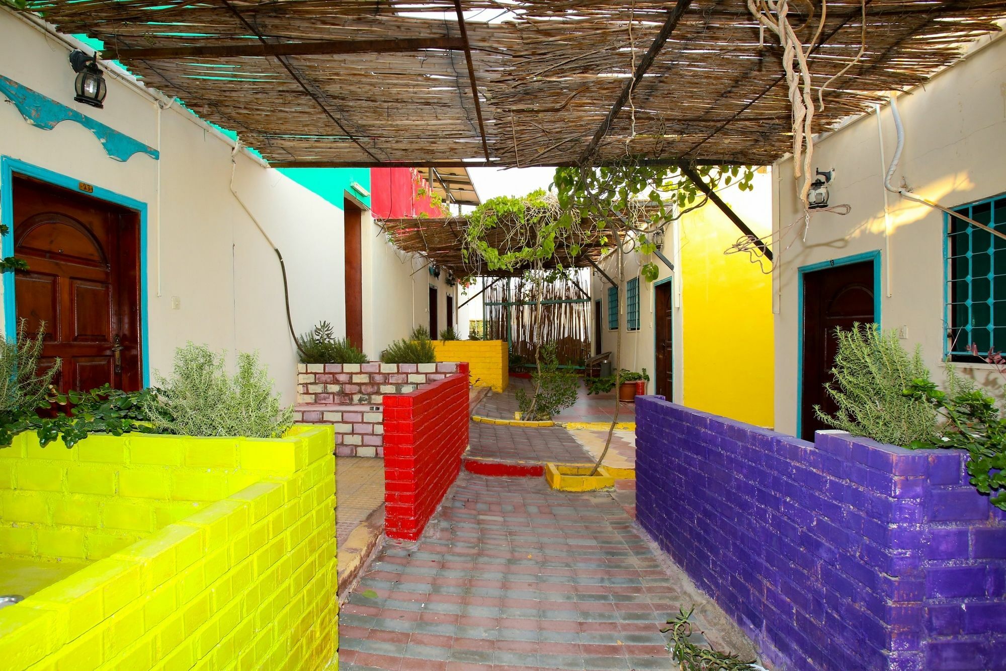 Bedouin Garden Village, Dive Guest house Aqaba
