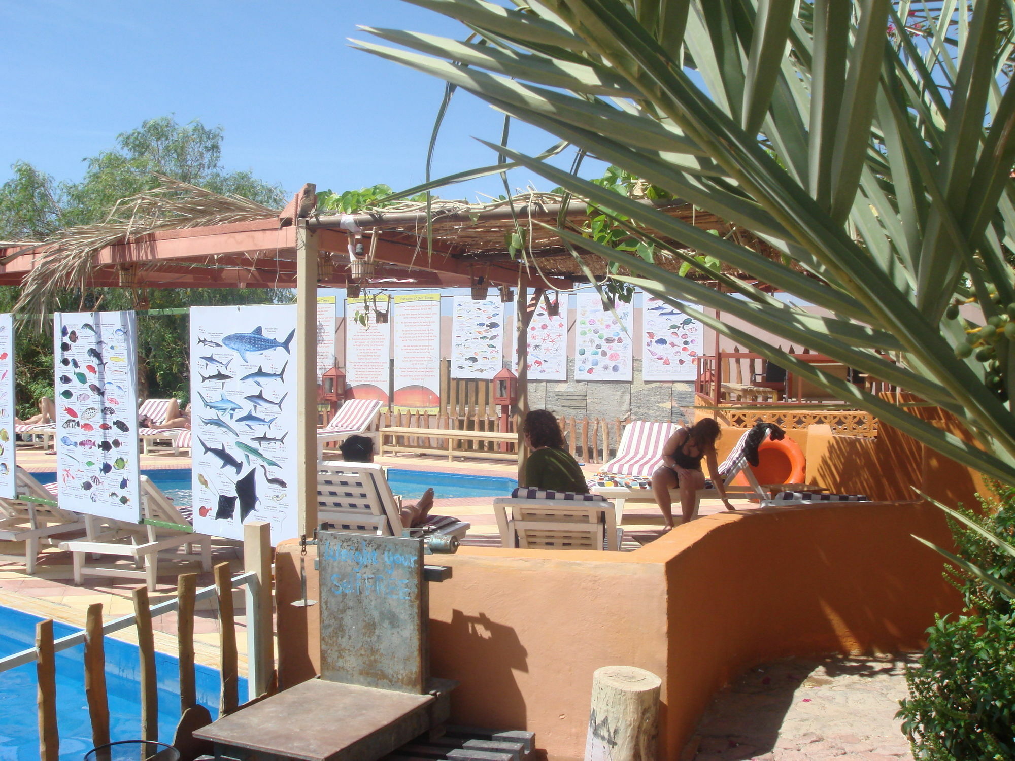 Bedouin Garden Village, Dive 3*